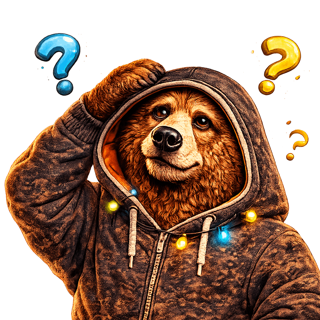 BigBear360 FAQ guide bear