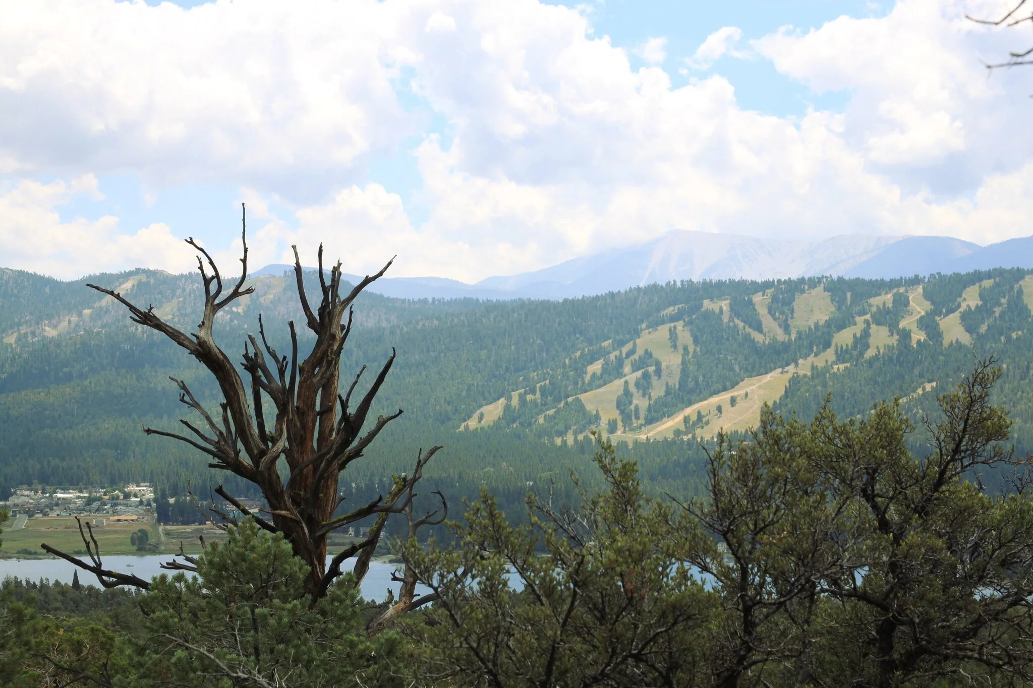 Best Route to Big Bear scenic Big Bear guide image