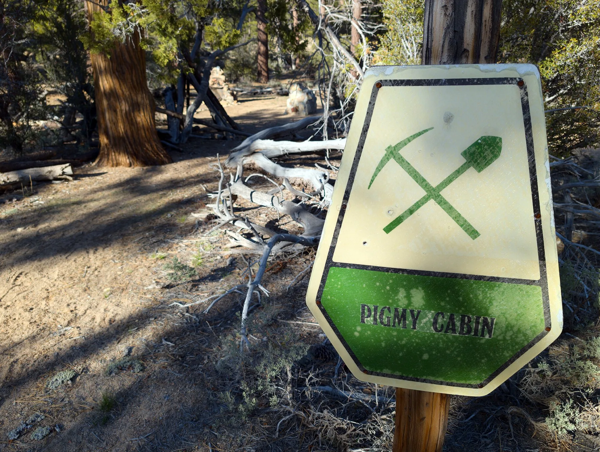 Big Bear Live Cameras Guide scenic Big Bear guide image