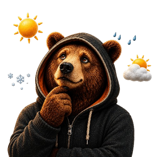 BigBear360 weather guide bear